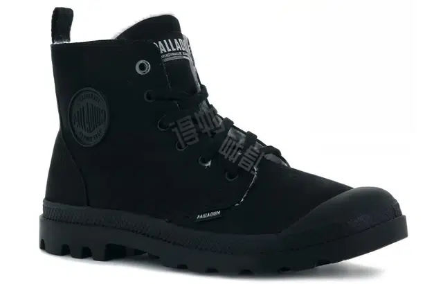 Palladium Pampa Hi