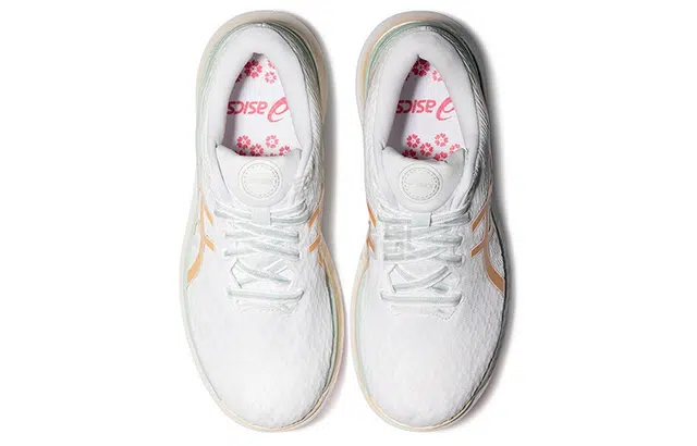 Asics Glideride 2