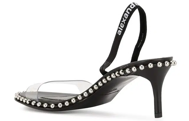 alexander wang