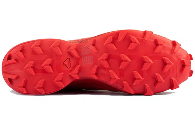 SALOMON Speedcross 5