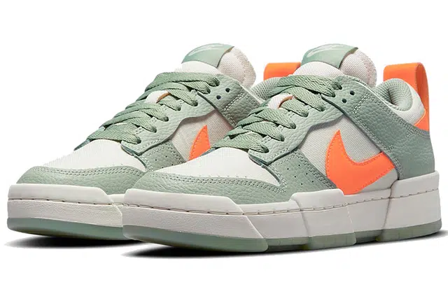 Nike Dunk Disrupt