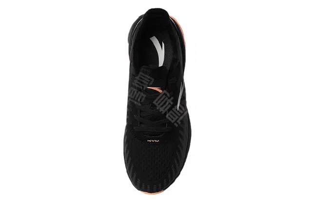 Anta