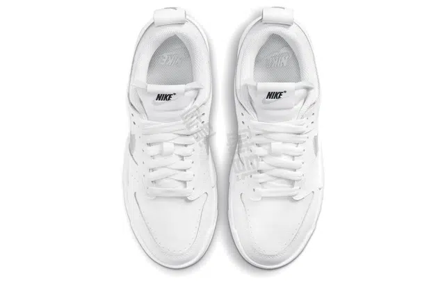 Nike Dunk Low Disrupt "White Silver"