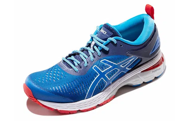 Asics Gel-Kayano 25