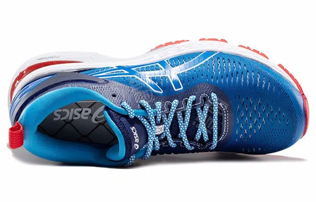 Asics Gel-Kayano 25