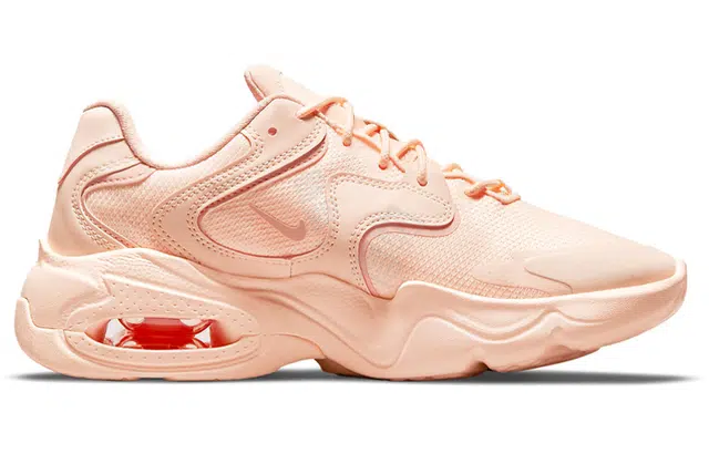 Nike Air Max 2X