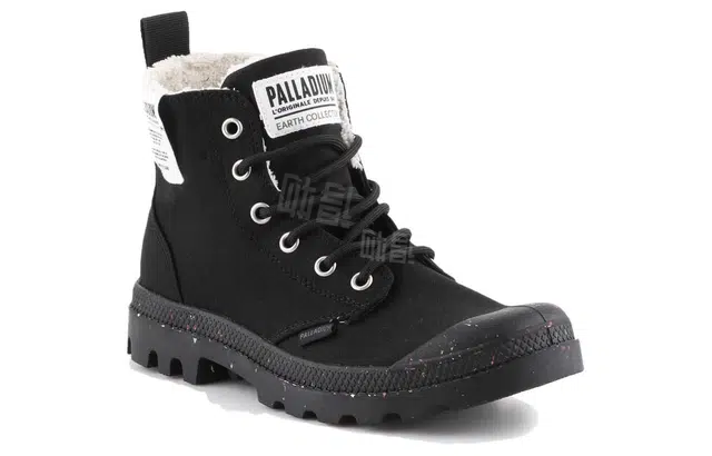 Palladium Pampa Earth