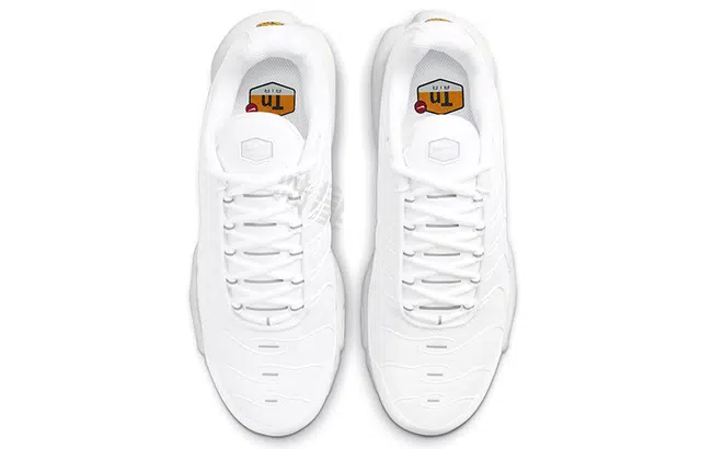 Nike Air Max Plus Triple White