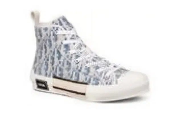 DIOR B23