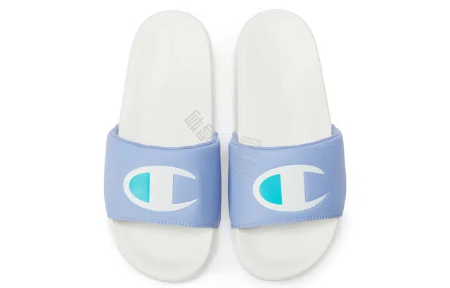 Champion Campus Slide