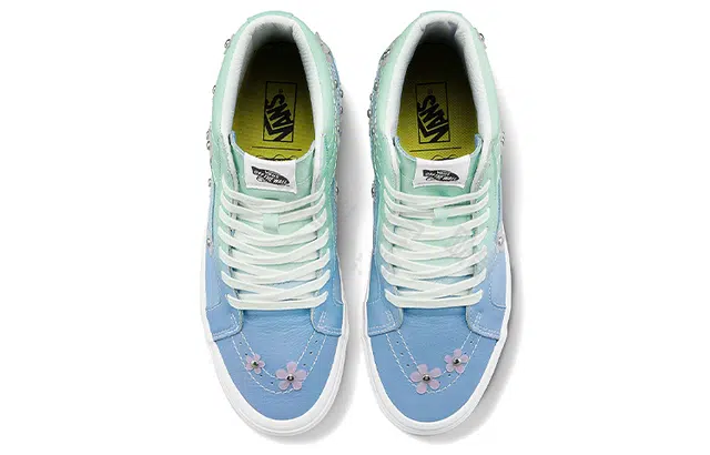 Sandy Liang x x Vans SK8 38 DX