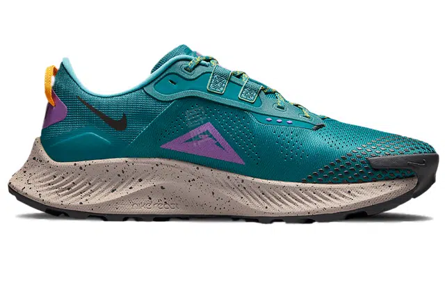 Nike Pegasus Trail 3