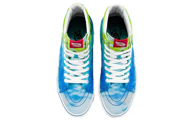 Sandy Liang x x Vans SK8