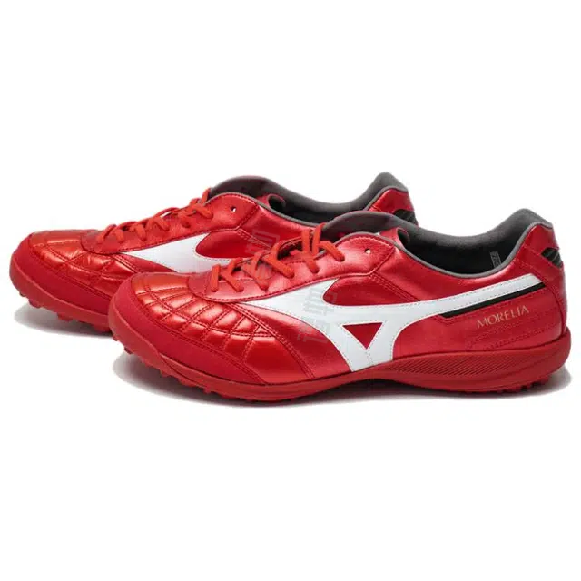 Mizuno SALA TF