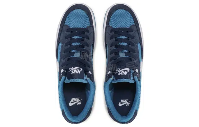 Nike SB Adversary