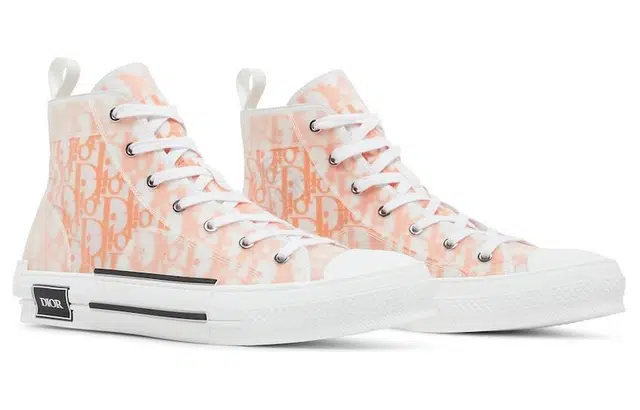 DIOR B23