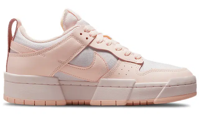 Nike Dunk Disrupt