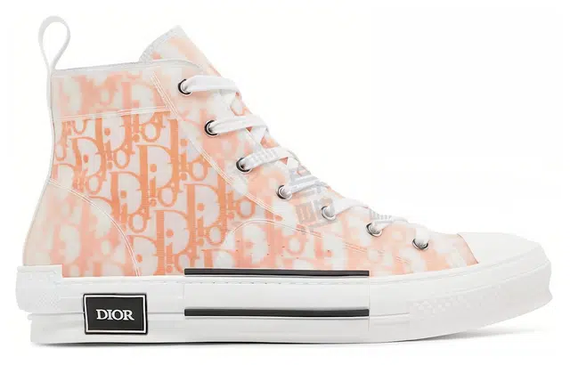 DIOR B23