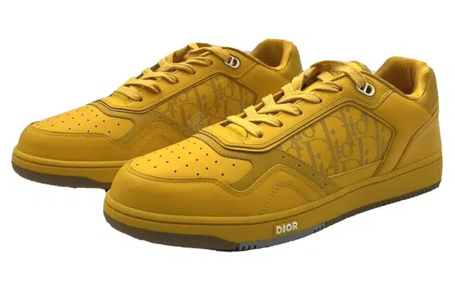 DIOR B27