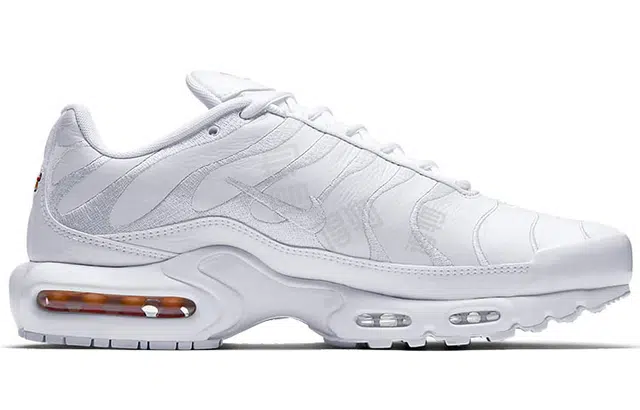 Nike Air Max Plus