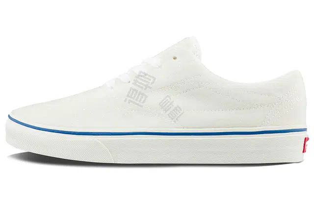 Vans Diy Low
