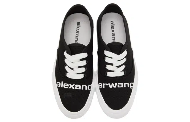alexander wang Dropout