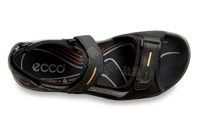 ecco