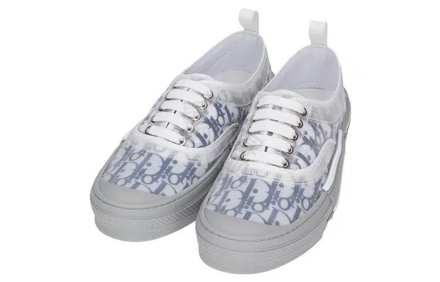 DIOR B23