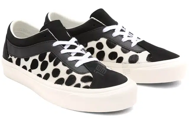 Vans Bold NI