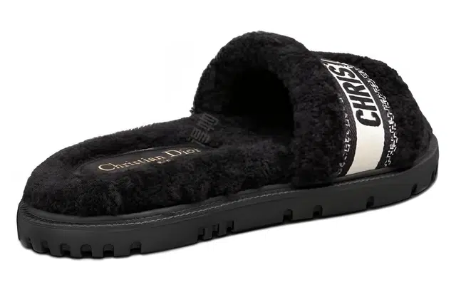 DIOR Dway