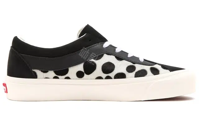 Vans Bold NI