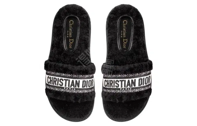 DIOR Dway