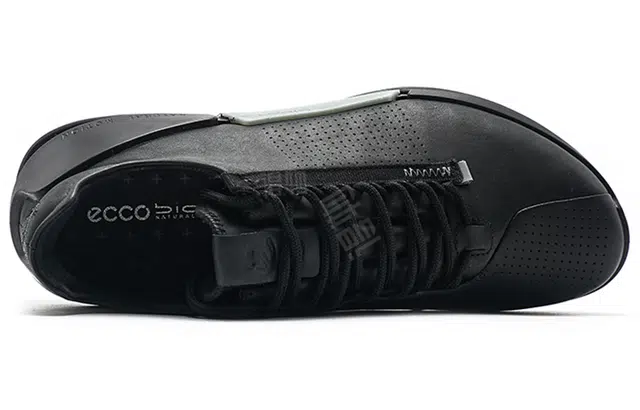 ecco 2.0