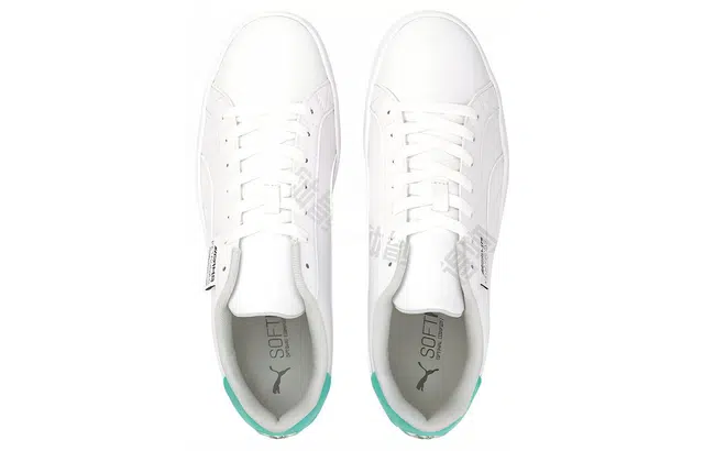 Puma F1 Smash V3