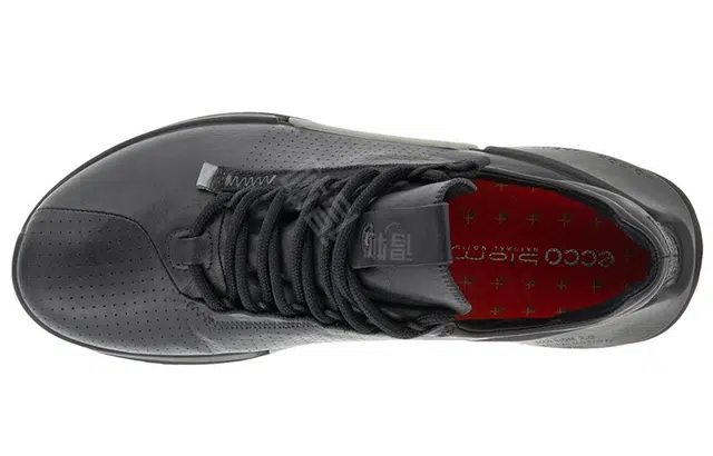 ecco Biom 2.0