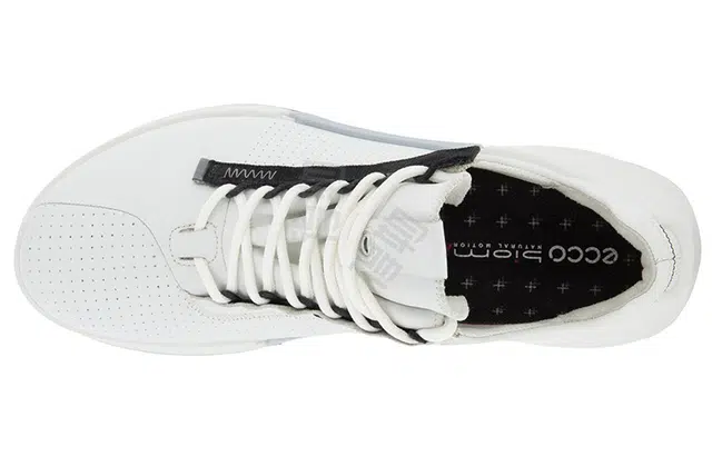 ecco Biom 2.0