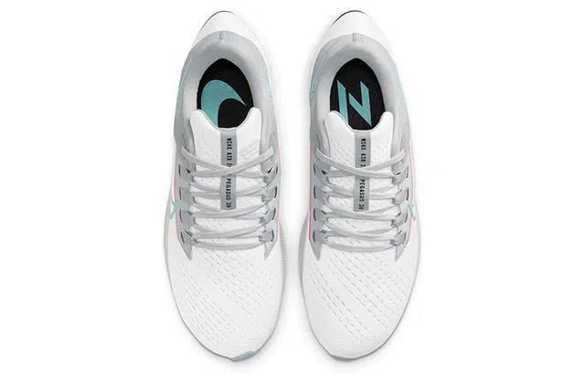 Nike Pegasus 38