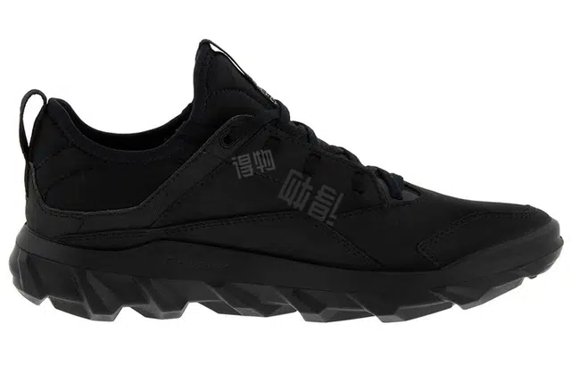 ecco Mx