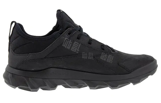 ecco Mx