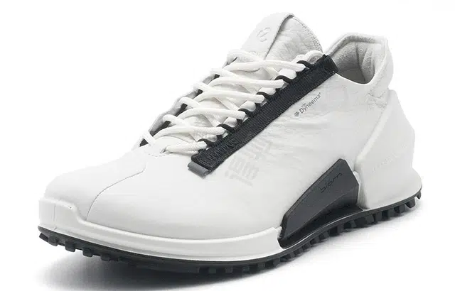 ecco 2.0