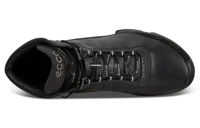 ecco C
