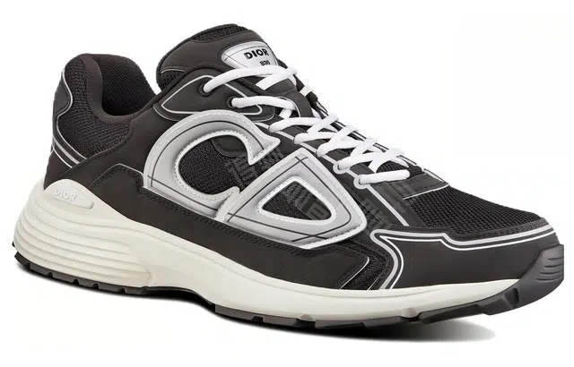 DIOR B30