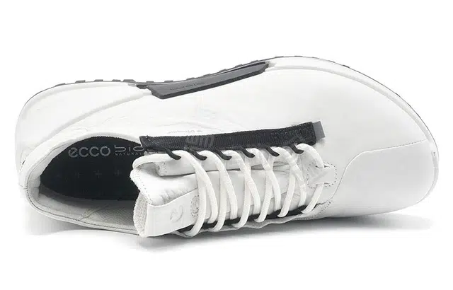ecco 2.0