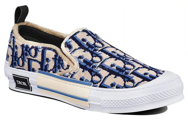 DIOR B23 Oblique