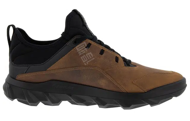ecco Mx