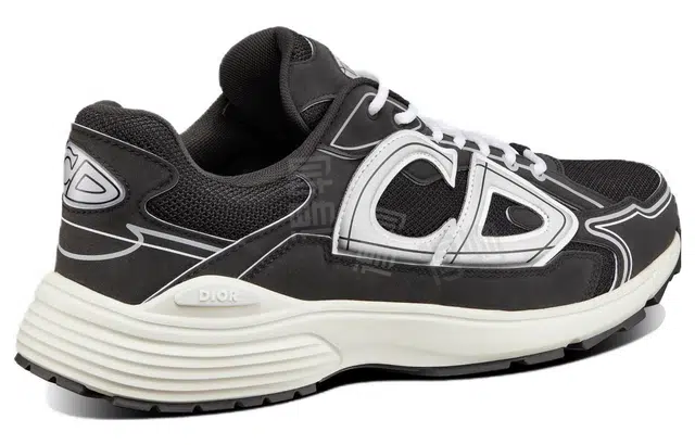 DIOR B30
