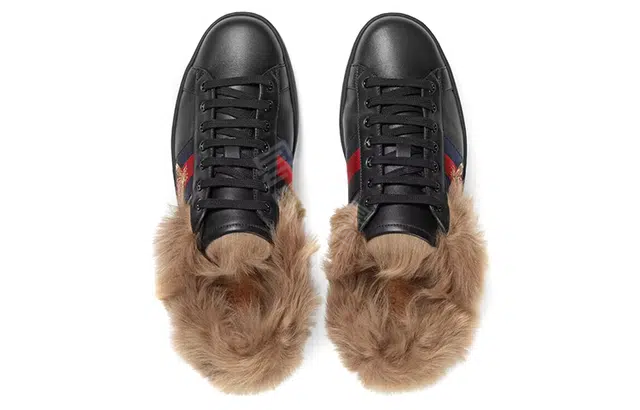 GUCCI ACE