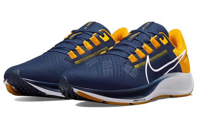 Nike Pegasus 38 "West Virginia"