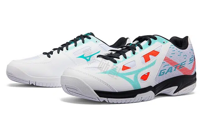 Mizuno Gate Sky Plus