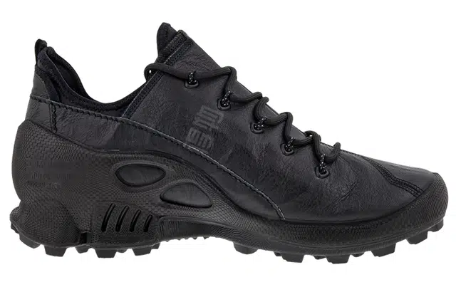 ecco Biom C Trail
